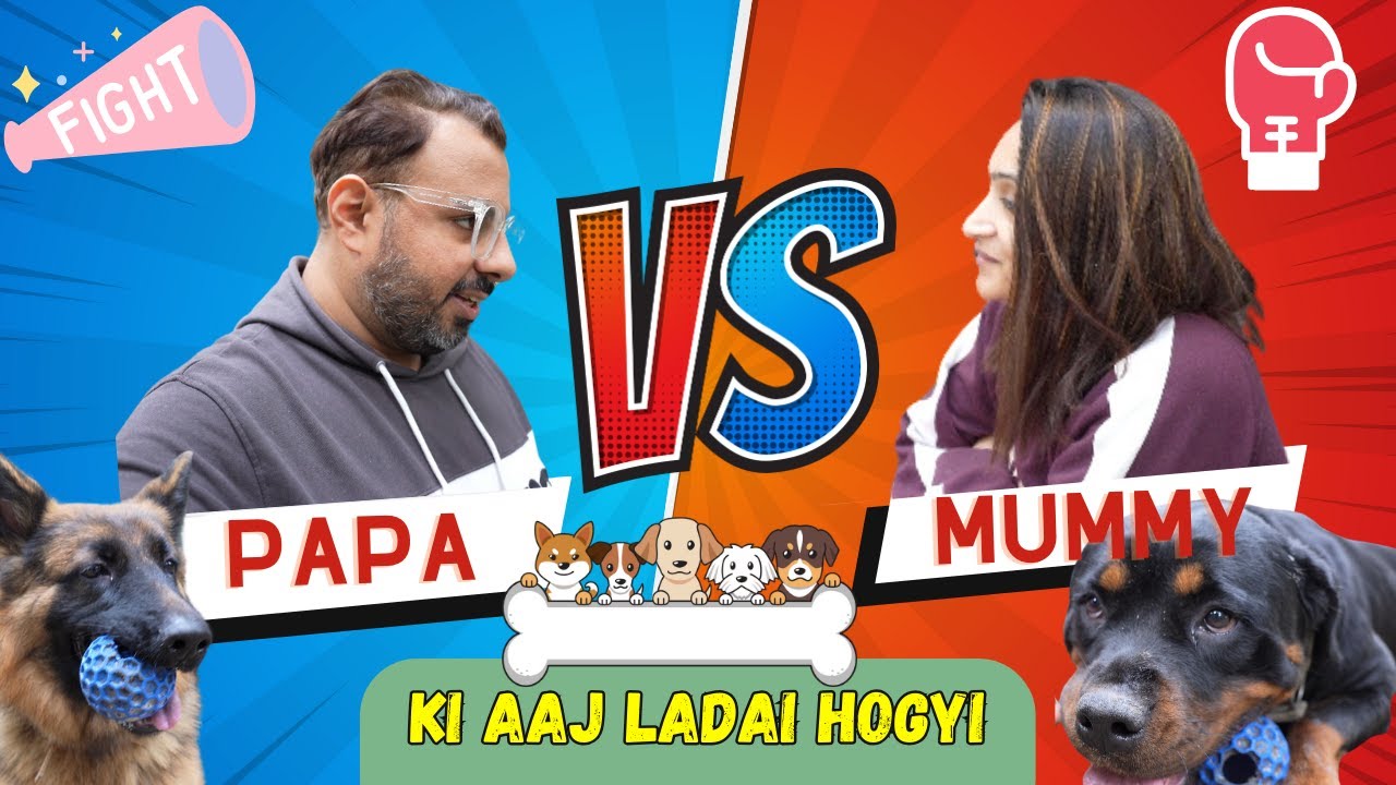 Ladai Hogayi Bhayanak Walli - Mummy Papa Dono Ho Rahe Hain Alag. Rottweiler & German Shepherd Chose.