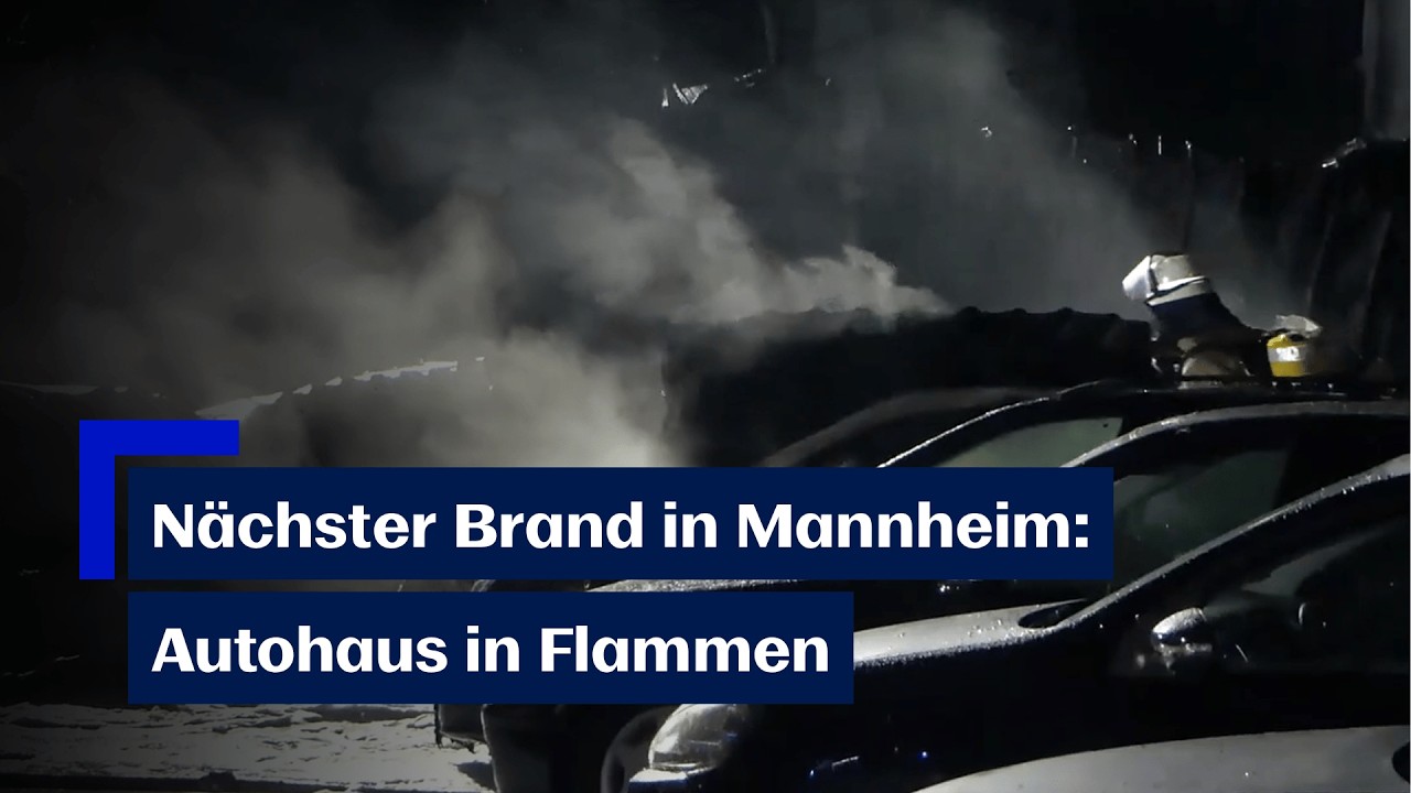 Brand in Mannheimer Autohaus verursacht Gro&szlig;einsatz