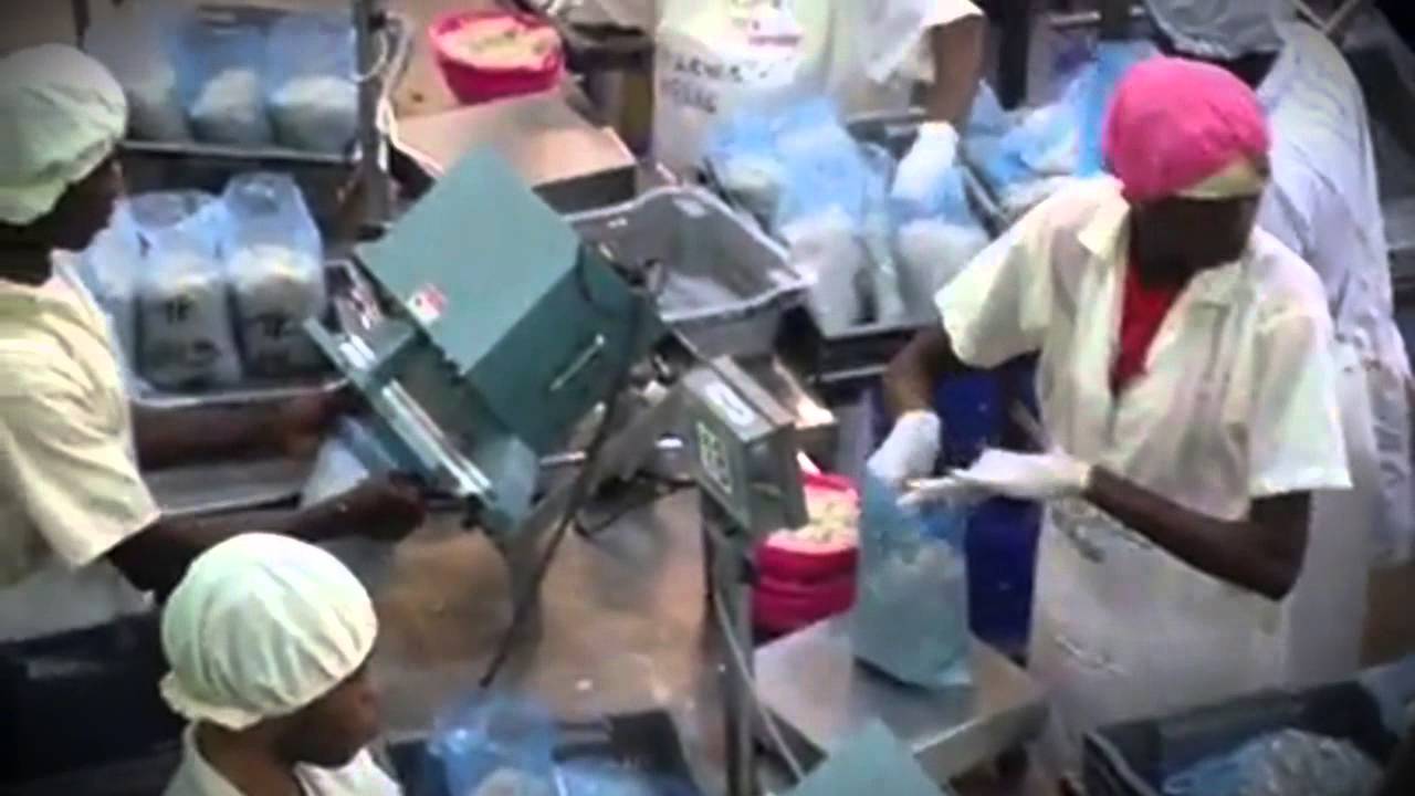 Process Improvement  Raw Shrimp Packaging Factory: Integrated System