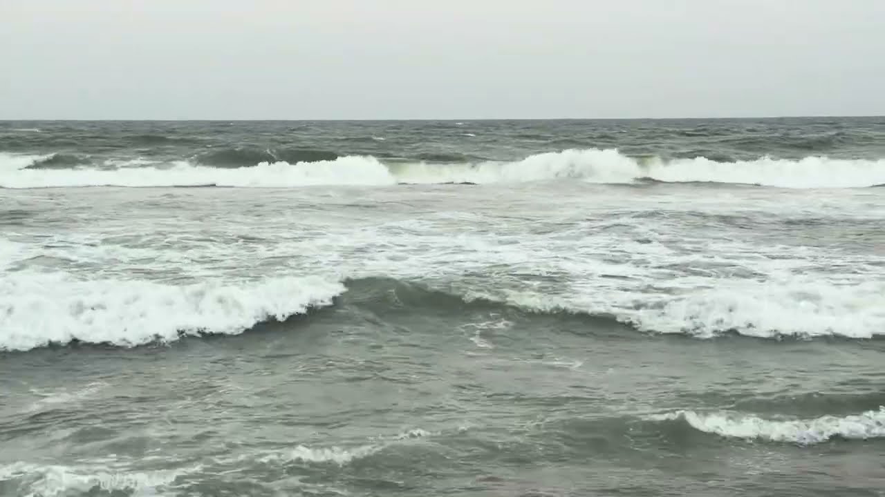 Sea ❤️