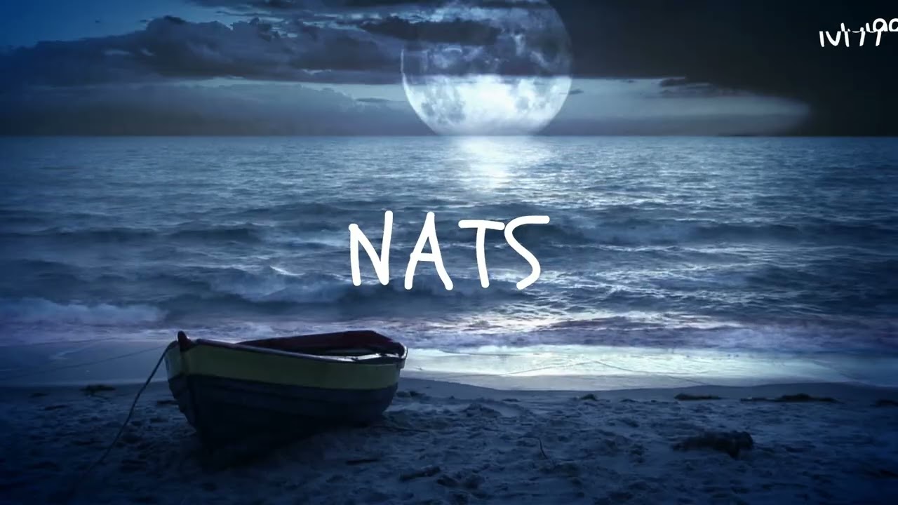 NATS : lvl99