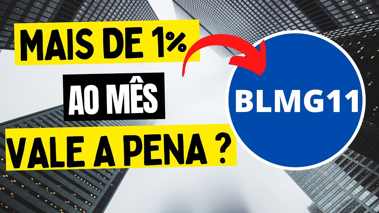 VALE A PENA INVESTIR NO BLMG11