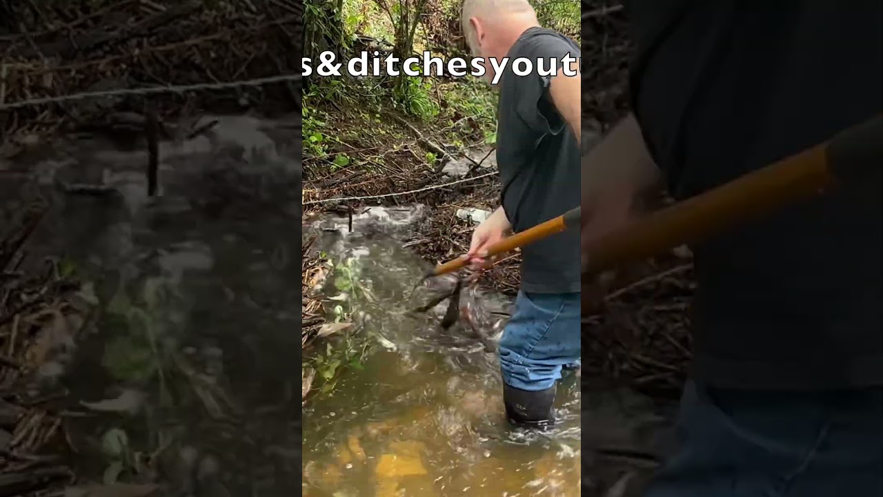 Clearing blocked ditches #cleaning #culverts #drain #river #water