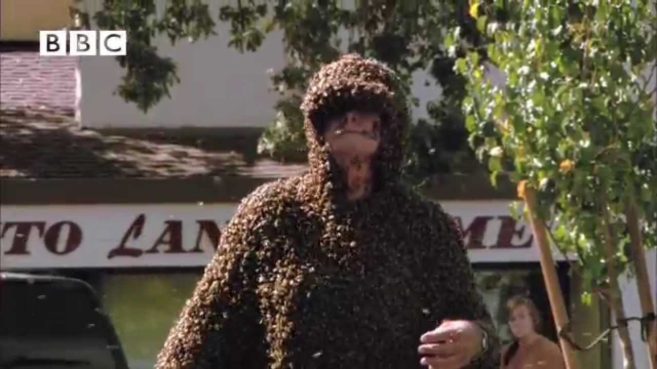 BEE-MAN!