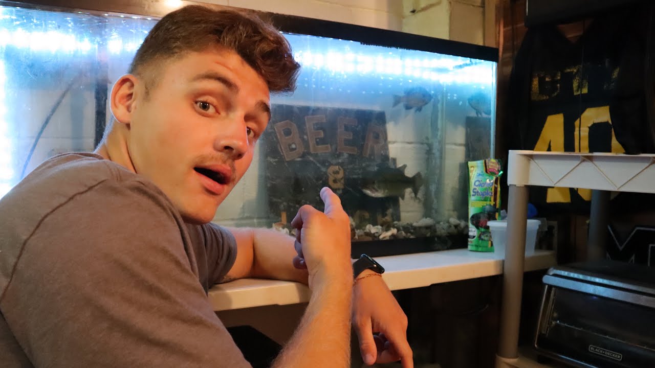 I STARTED A WILD LIFE FISH TANK!! (BASS, BLUEGILL, CATFISH)
