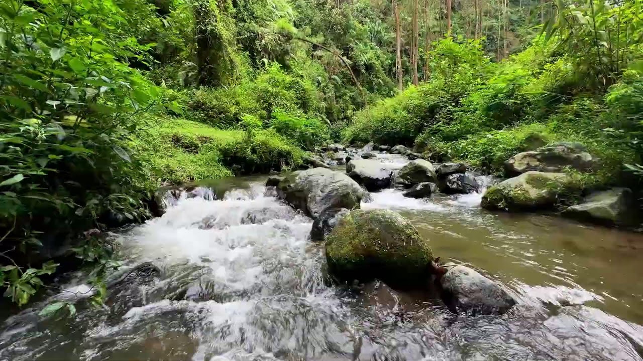 Feel calm with peaceful river ambience around soft flowing water for deeper restful sleep