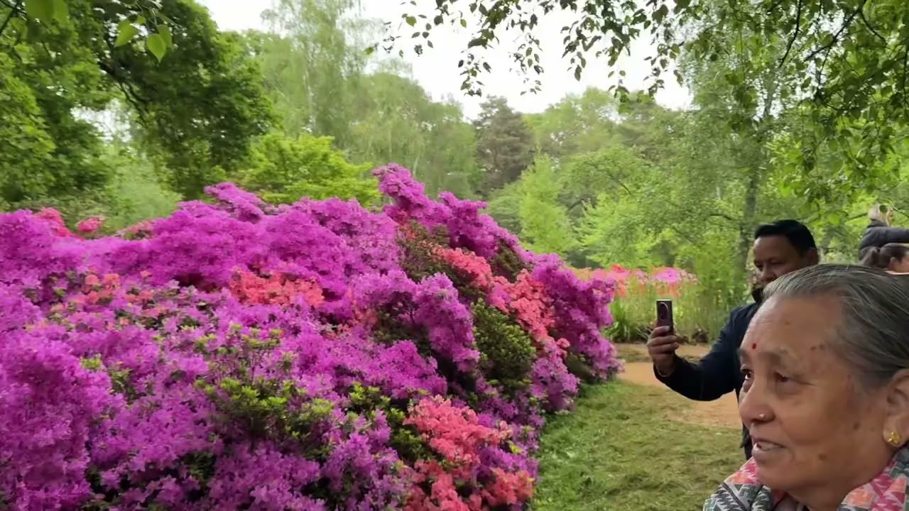 The Isabella Plantation Garden in London - Visit on 5th May 2024