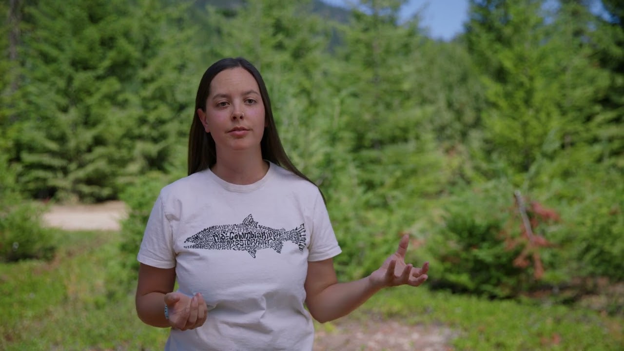 A Bull Trout Story