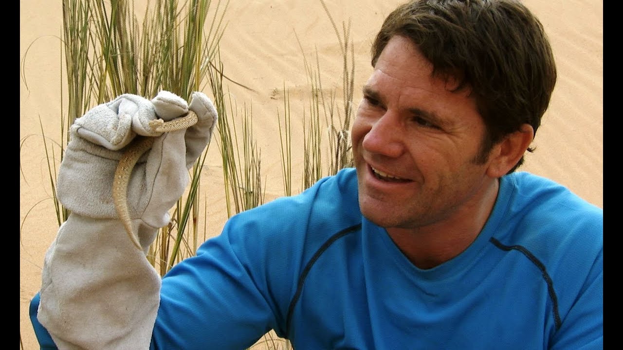 Tracking a Sidewinder Snake | Deadly 60 | Series 2 | BBC