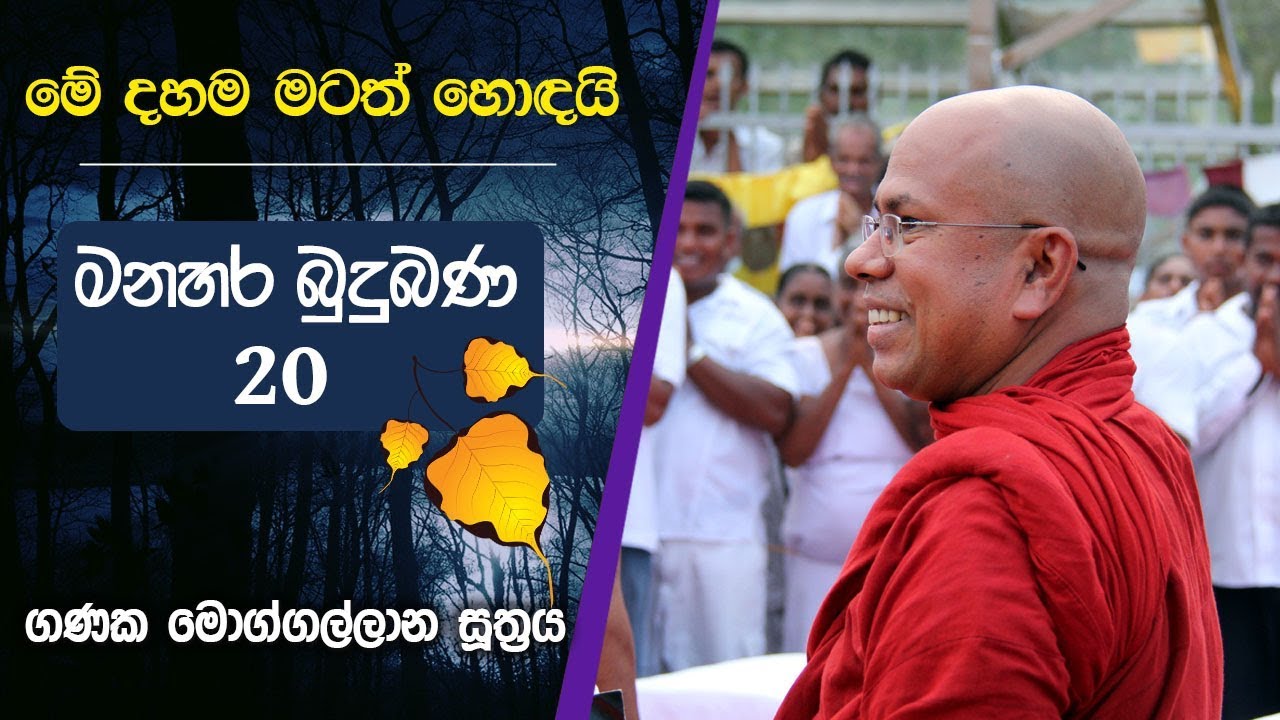 බුදු සසුනෙහි පැවිදි වන භික්ෂුවක් උතුම් අර්හත්වය දක්වා ගෙන යන අනුපිළිවෙළ ප්‍රතිපදාව