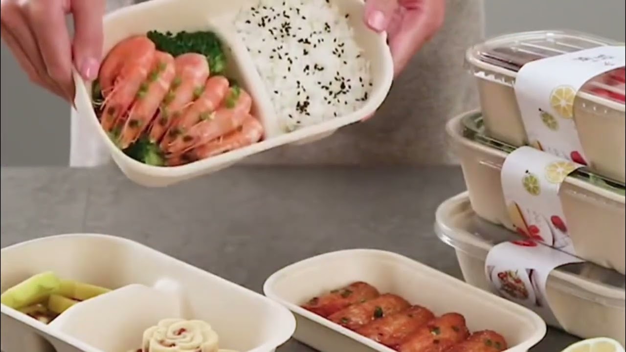 Looking for the perfect disposable bowl for takeout, meal prep, or daily use