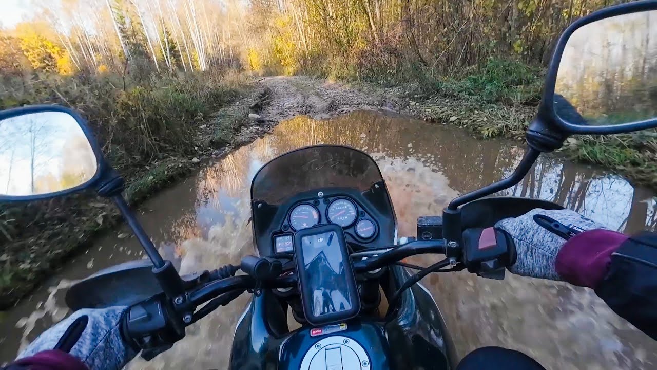  Aprilia Pegaso 650 / Along a forest road in autumn./ По лесной дороге осенью. 