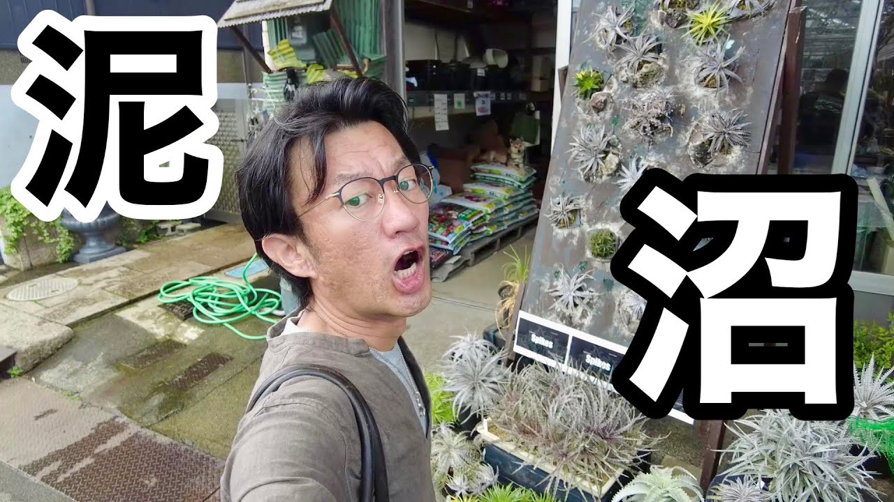 【もう抜け出せない】あなたが知らない泥沼イベント　【園芸超人カーメン君】【ディッキア】【坪井健樹園】【SPIKES】