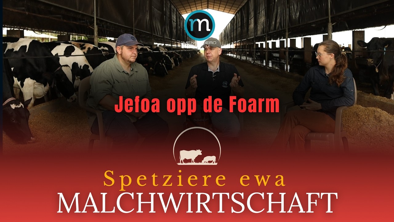 Spetziere ewa Malchwirtschaft #13 Ein Milchviehbetrieb steht vor verschiedenen Risiken