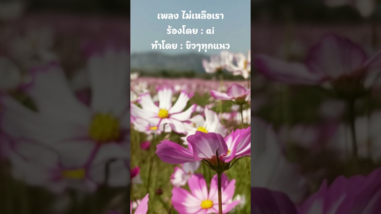 ไม่เหลือเรา 