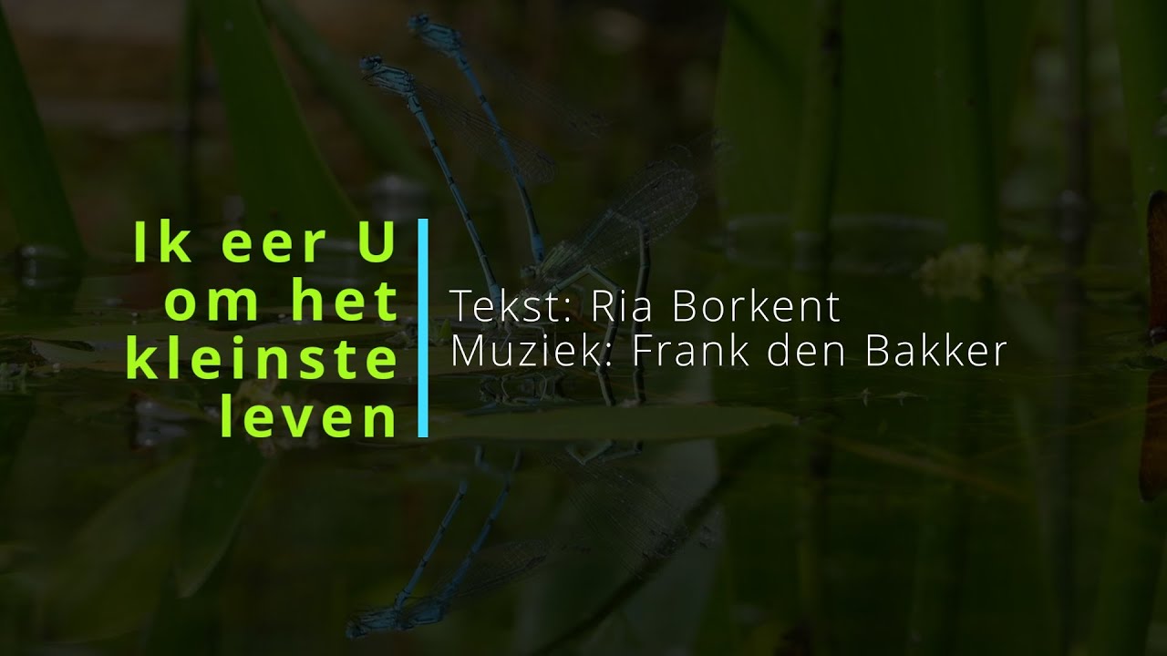 Ik eer U om het kleinste leven