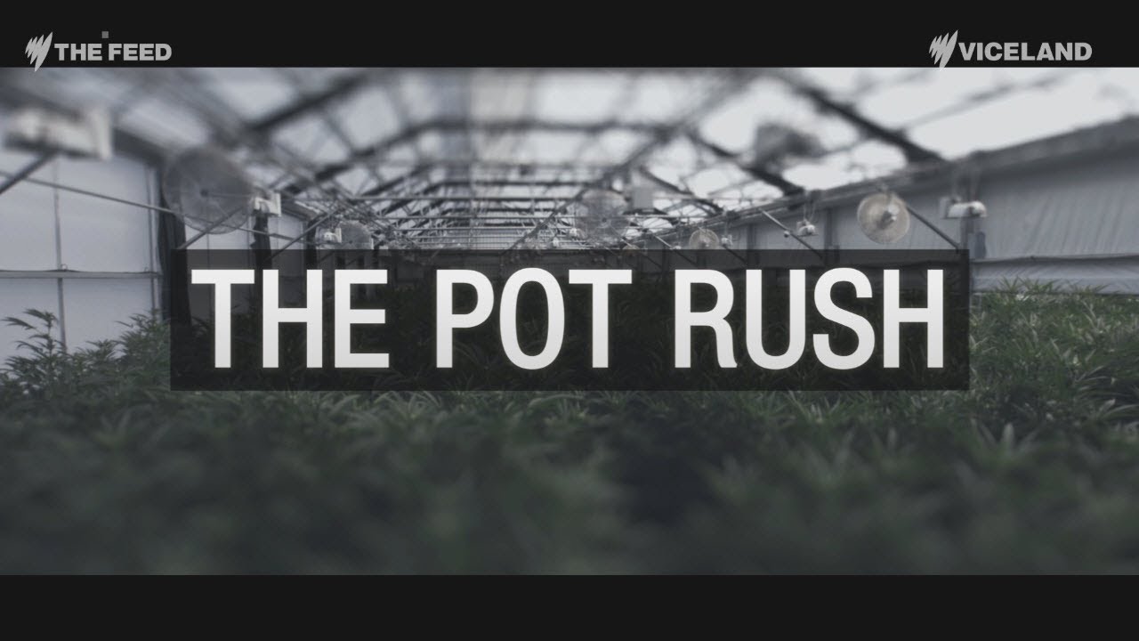 Legal Weed in Pueblo: Economic wonder or public health crisis? - The Feed
