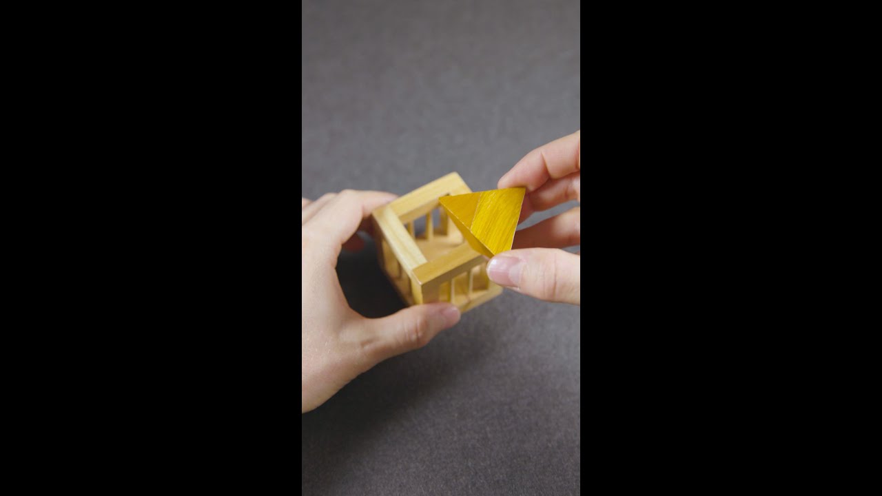 Satisfying Geometric Puzzle Trick #Shorts