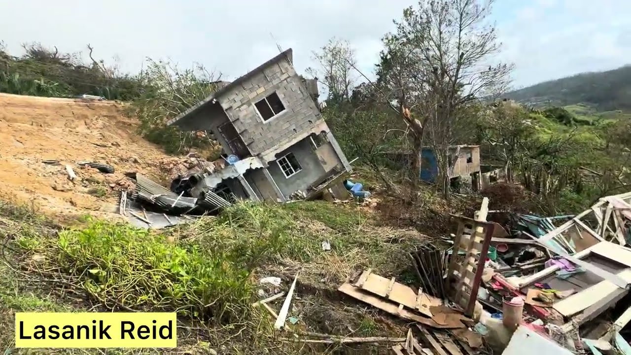 Большой крах в Лорримерсе и Литчфилде, Трелони