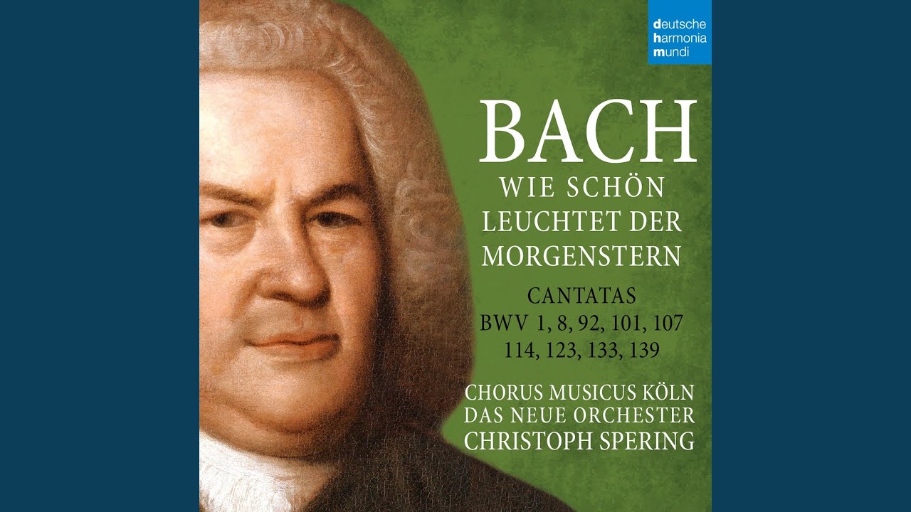 Liebster Gott, wenn werd ich sterben?, BWV 8: IV. Doch weichet, ihr tollen, vergeblichen...