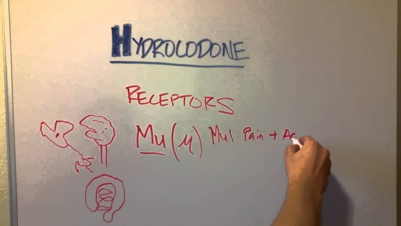 How Hydrocodone (and other opioids) Works
