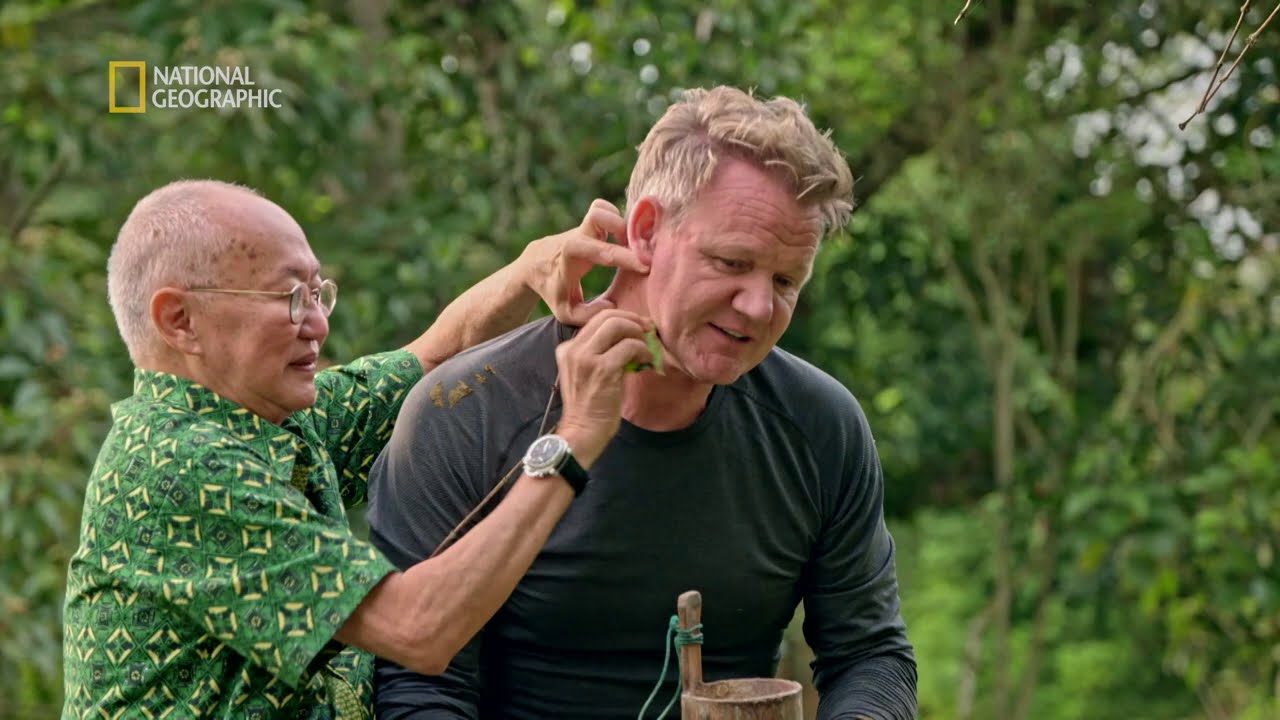 Bawół poczęstował Gordona odchodami zamiast mlekiem [Gordon Ramsay: świat na talerzu]