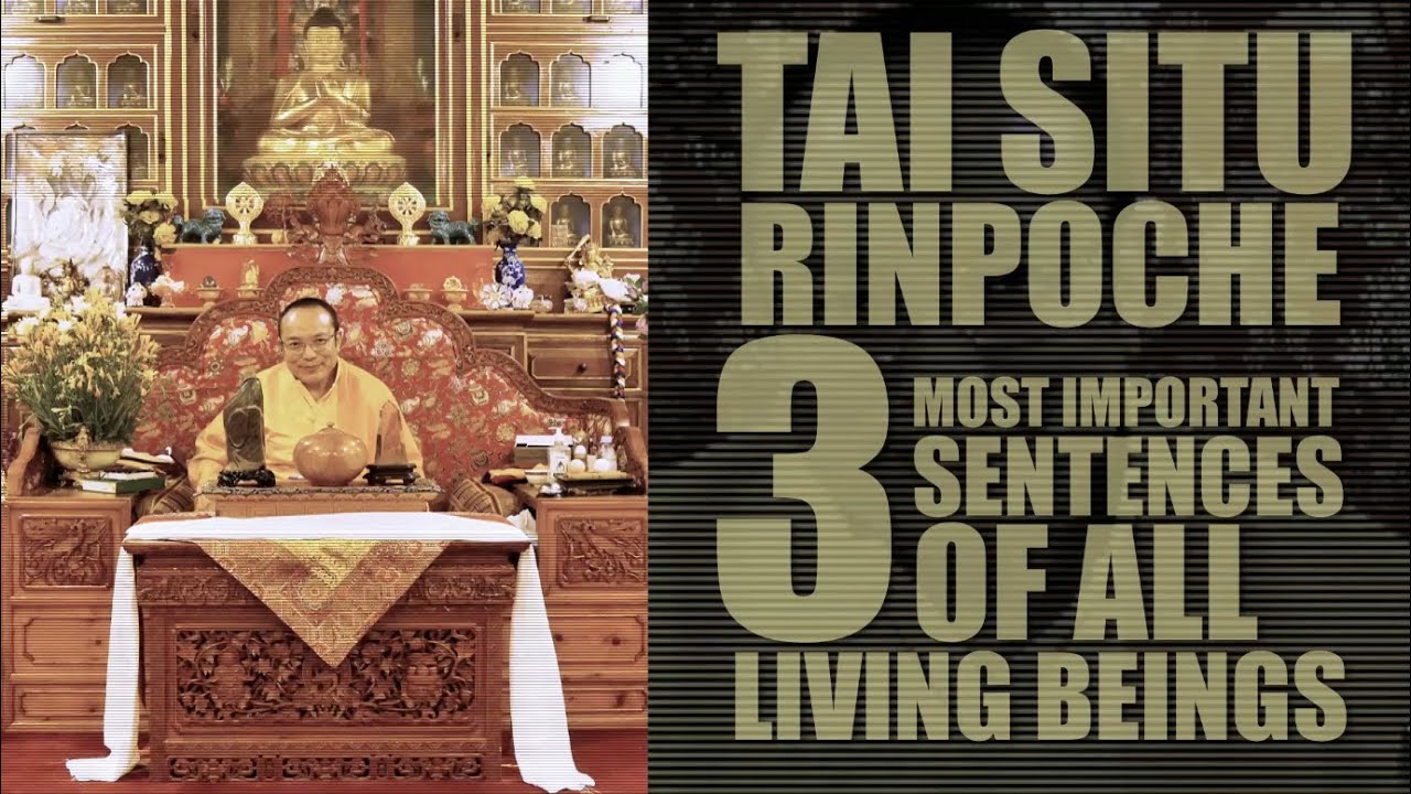 TAI SITUPA • 3 Most Important Sentences Of All Living Beings