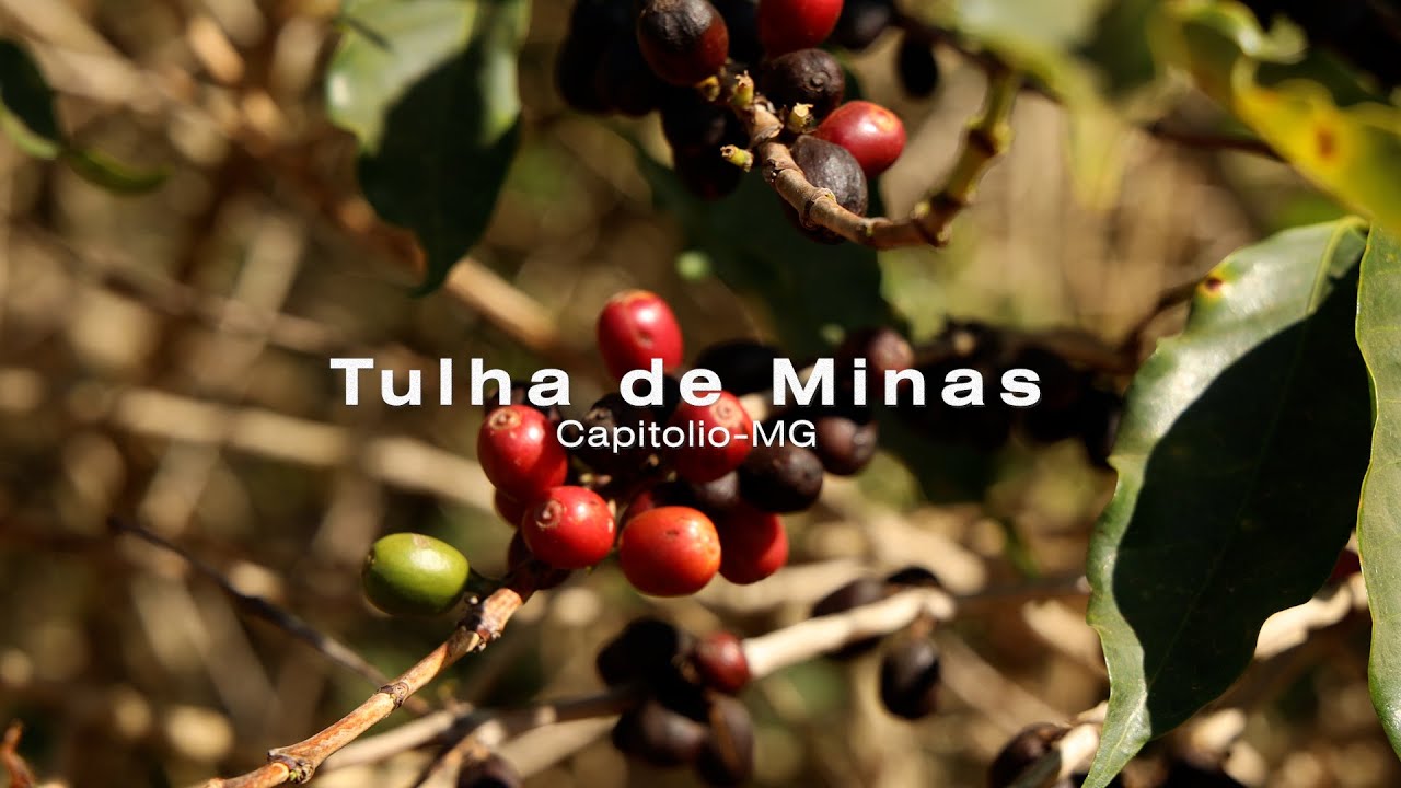 Tulha de Minas - Capitólio - MG
