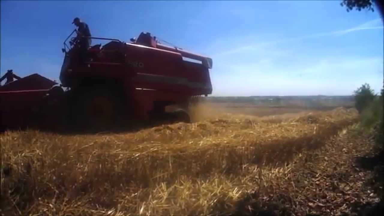 * Żniwa 2015 Massey Ferguson 520 *