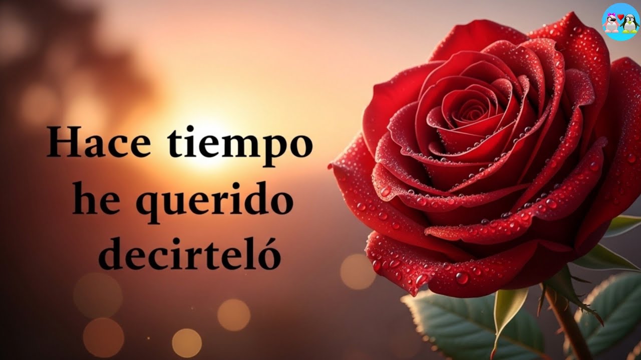 Y hoy al fin te lo CONFIESO