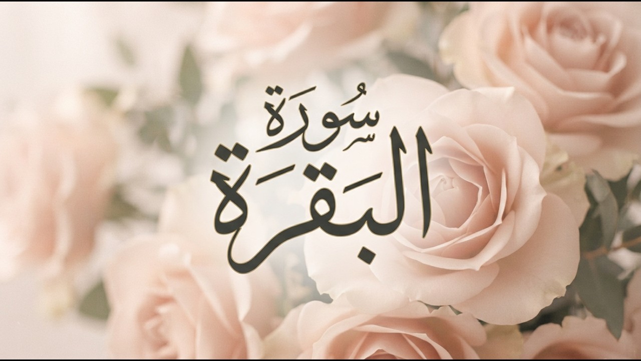 سورة البقرة ( كاملة و مكتوبة ) للقارئ عبد الولي الاركاني | تلاوة هادئة تريح القلب سورة البقرة