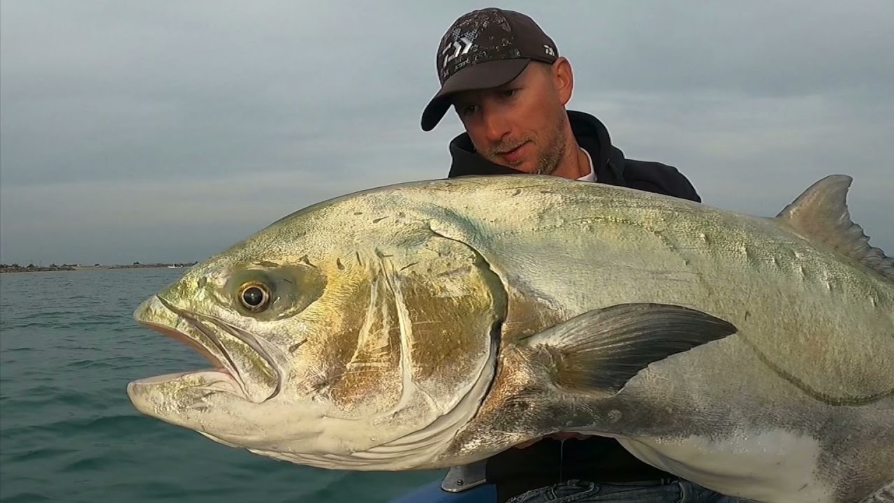 🔥Violent Rush de 200m...Ce poisson a le démon🔥