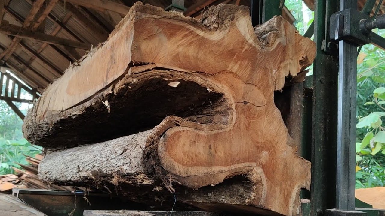 Splitting the most terrifying and expensive monster wood 