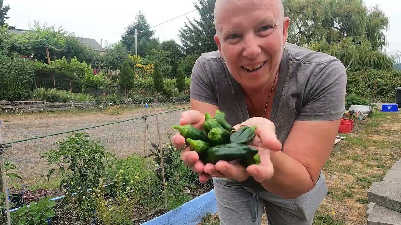 From Seed To Supper: Vlog 121