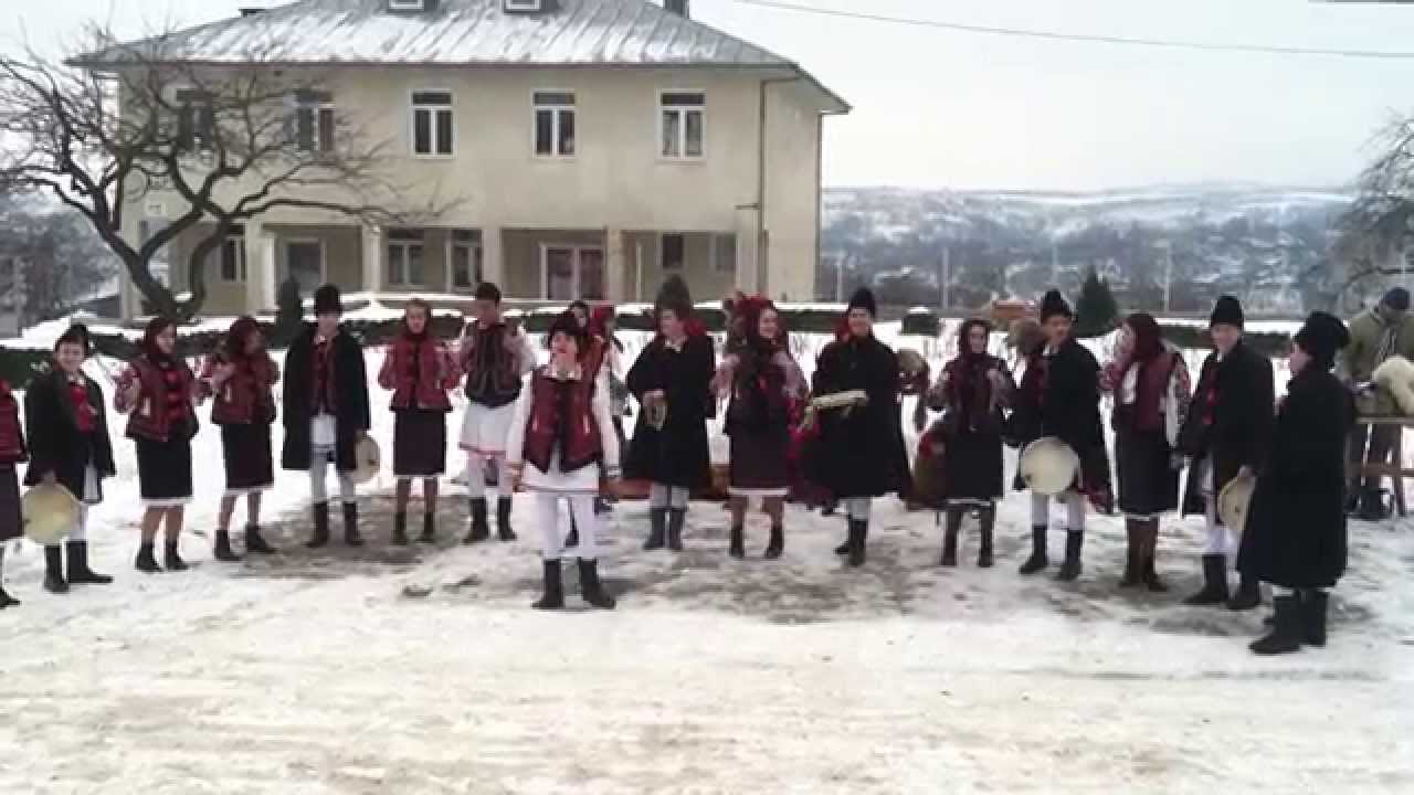 Uratori si capre la Faraoani, 2015