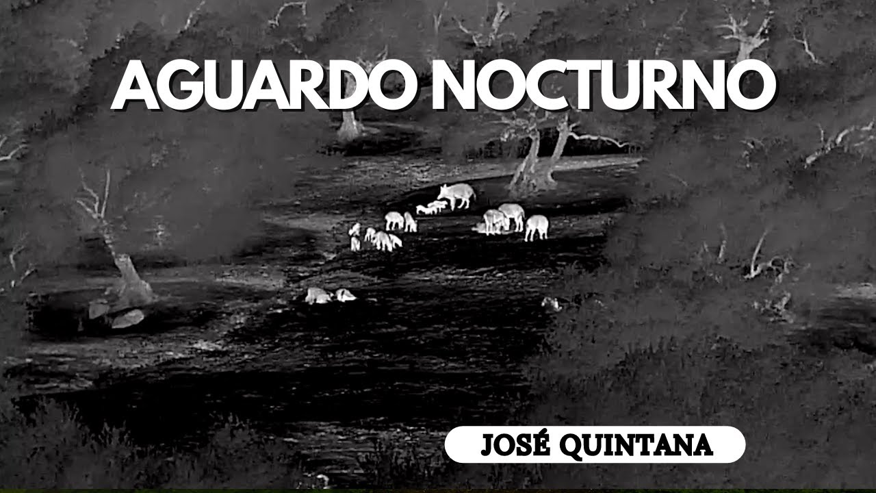 AGUARDO NOCTURNO 2023 | JOSÉ QUINTANA #1