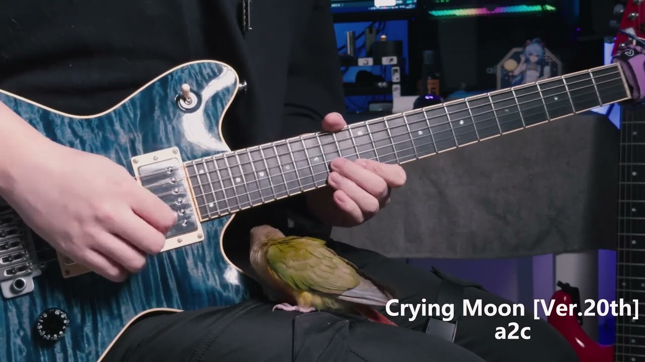 a2c-Crying Moon [Ver.20th] Guitar cover