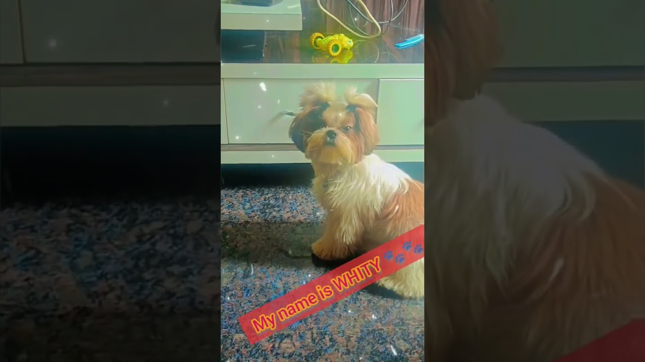 #viral