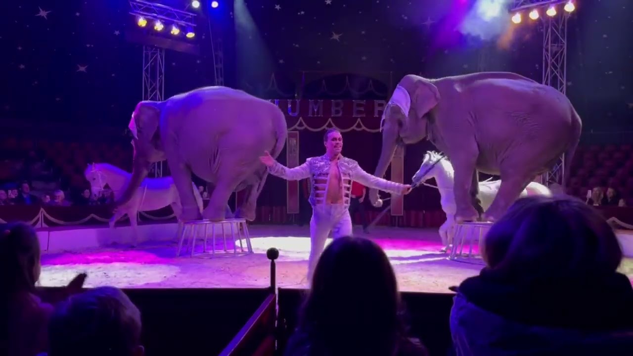 Cirkus Humberto Pardubice 2025 Show 75