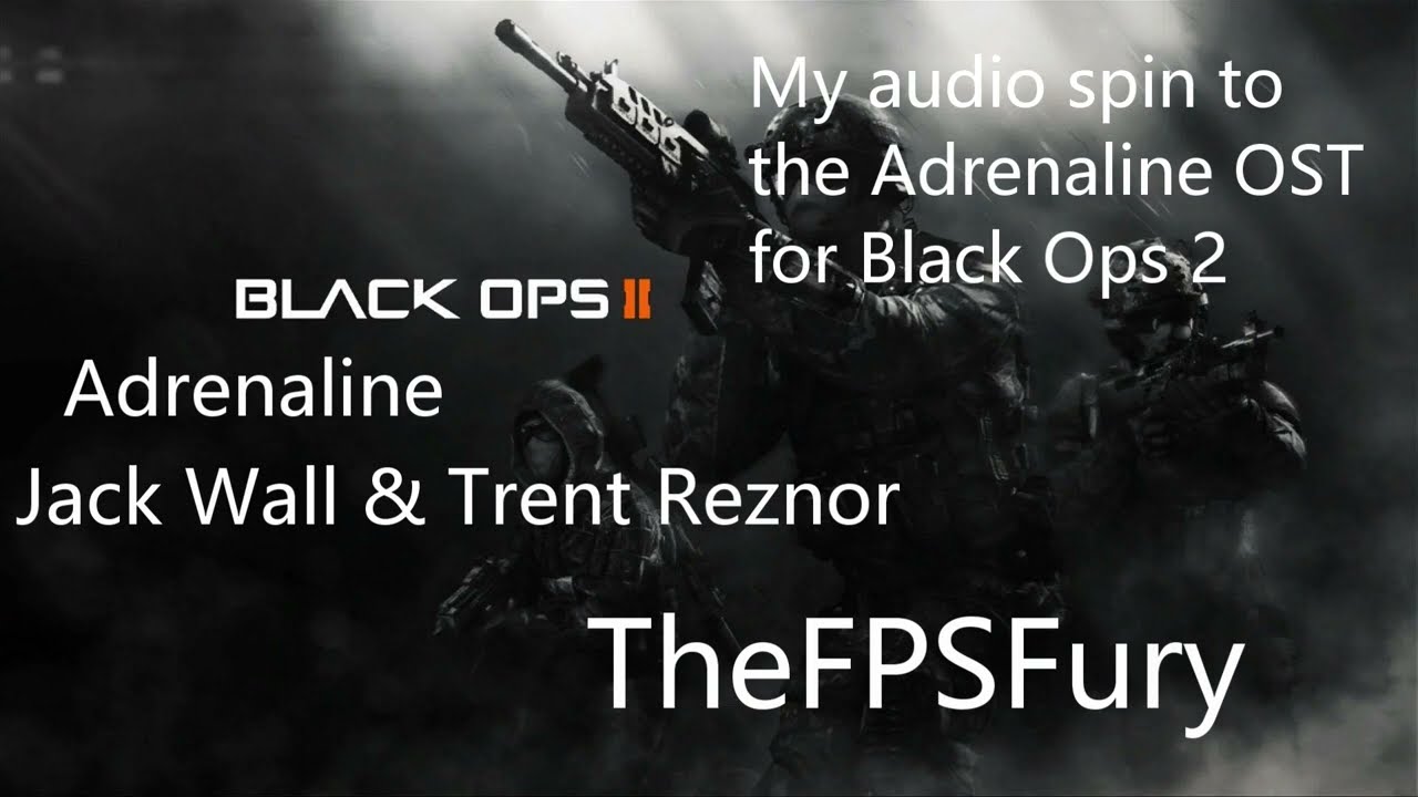 Black ops 2 Adrenaline (Reverb, Slowed, And Pitched down) Mixed by TheFPSFury