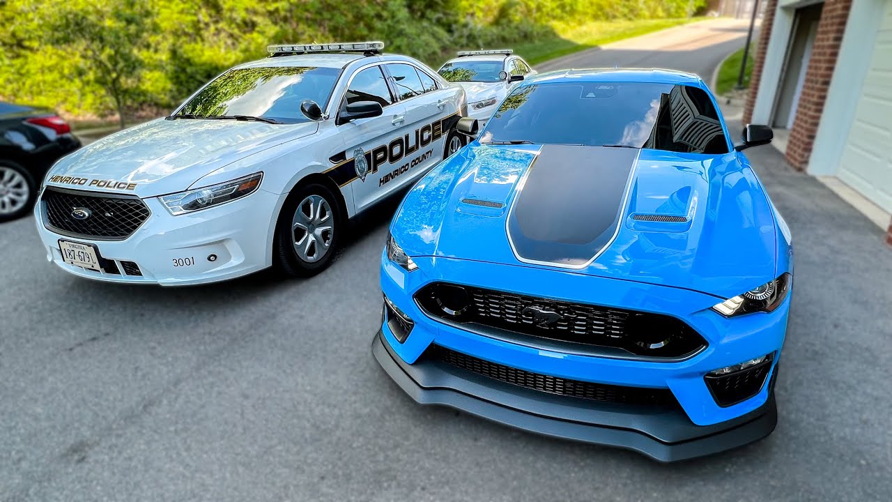 Обновление информации о том, как соседи разгромили Mustang Mach 1... *ОБВИНЕНИЯ?*