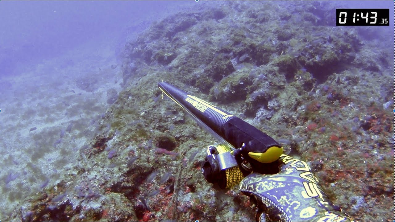 PESCA PROFUNDA - Mero 7,5Kg Costa Brava