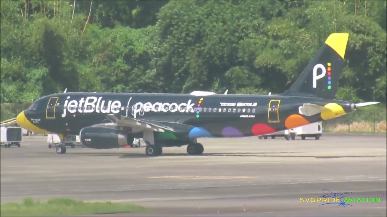 Argyle International: JetBlue's 
