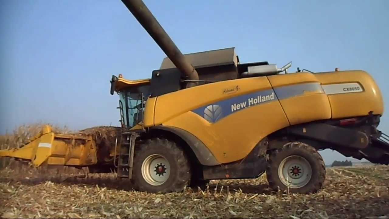 New Holland CX 8050 - Trebbiatura mais 2013 by Adami G.