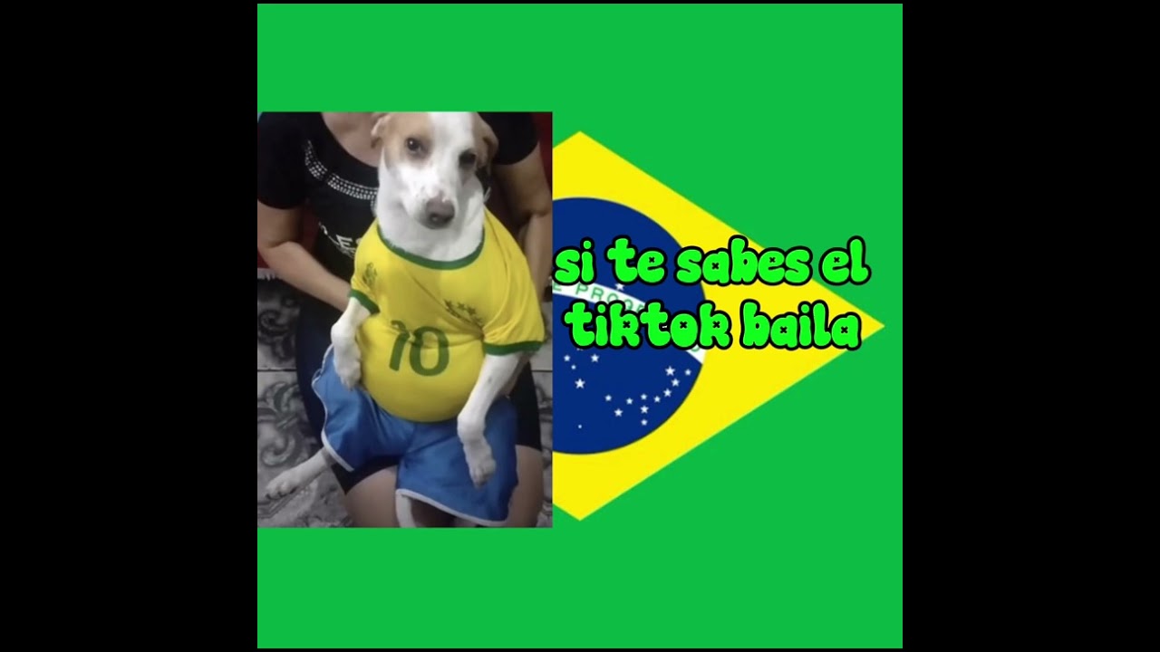 Si te sabes el tiktok baila #Tiktok#tiktok brasileños