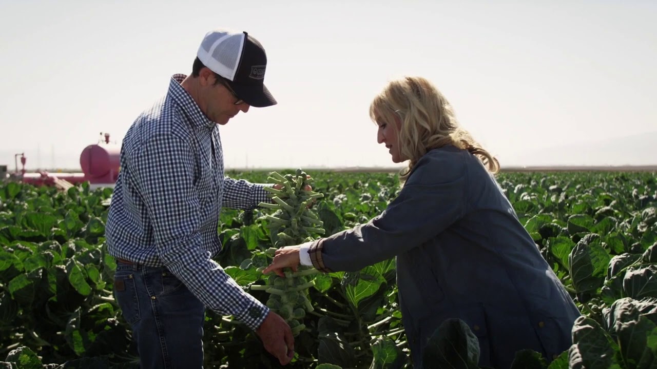 Ocean Mist Farms - How We Grow Brussels Sprouts