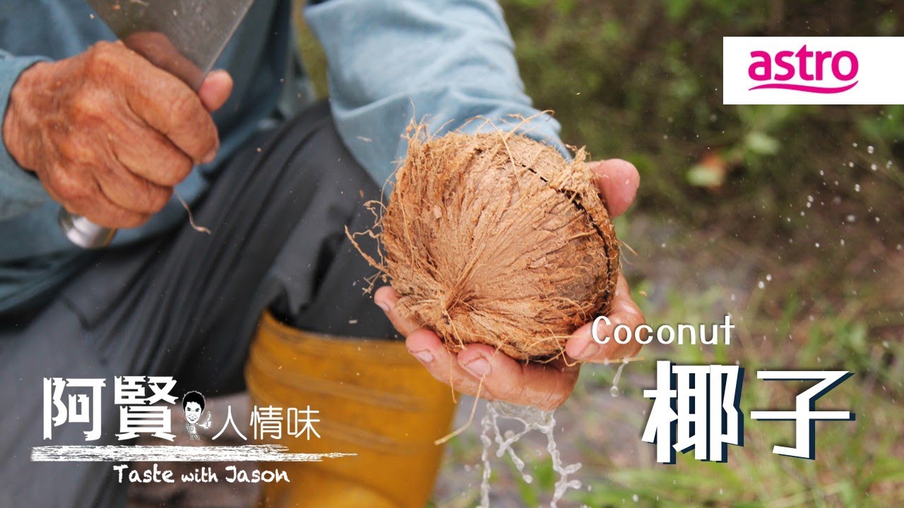椰子到底有多万能？从椰林到夜市的七十二变｜阿贤人情味 Taste with Jason S10 (2015) EP13