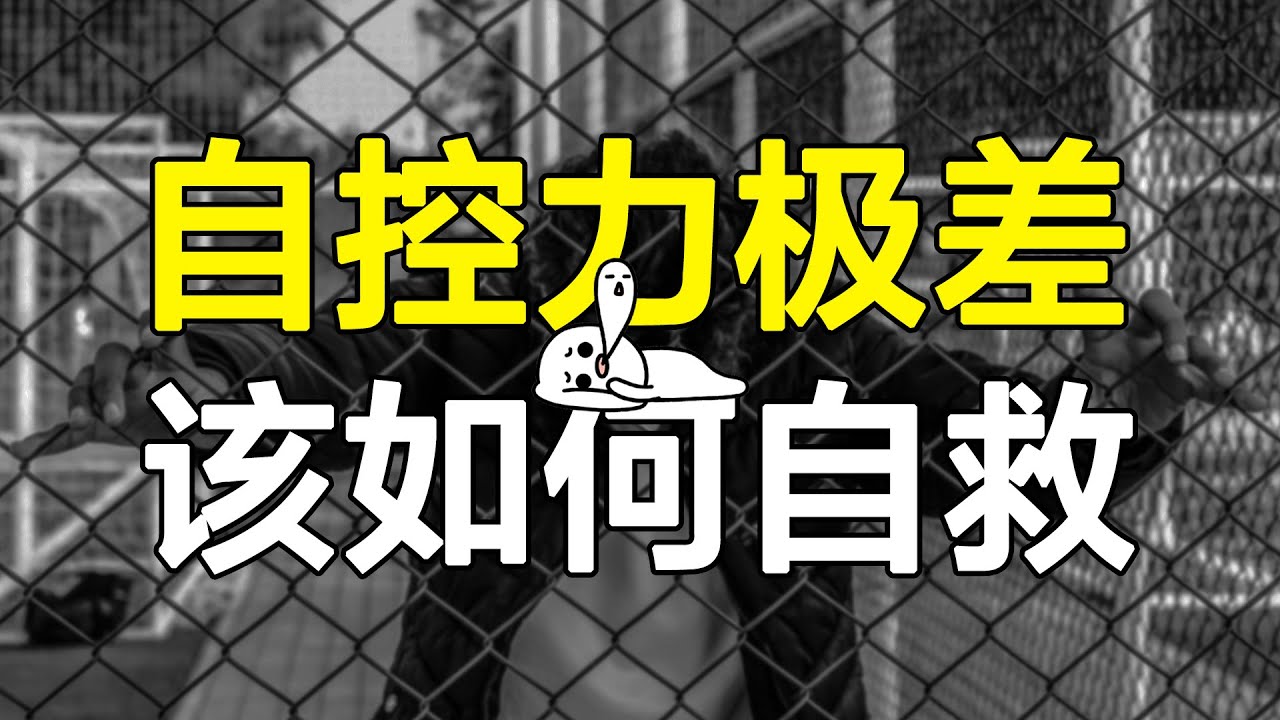从自控极差的废人，到超级自律的大神？UP亲测两个方法，改变自己像喝水一样简单【心河摆渡】