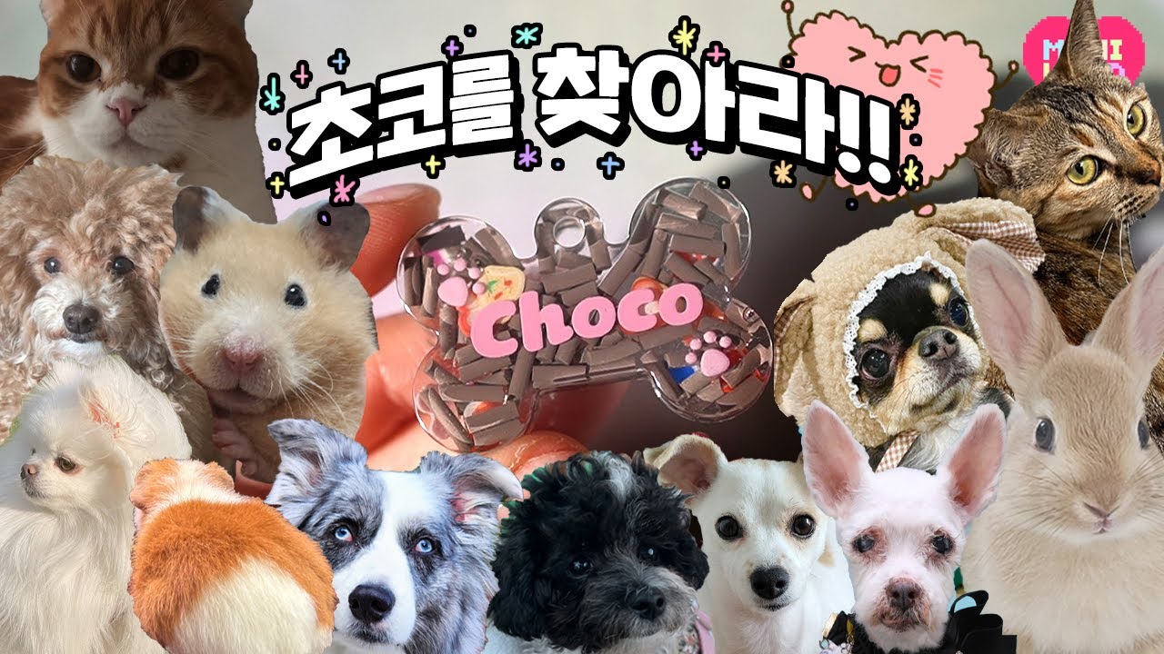 구독자 반려동물 네임택 만들기!!🐶 강아지의 날 #레진아트