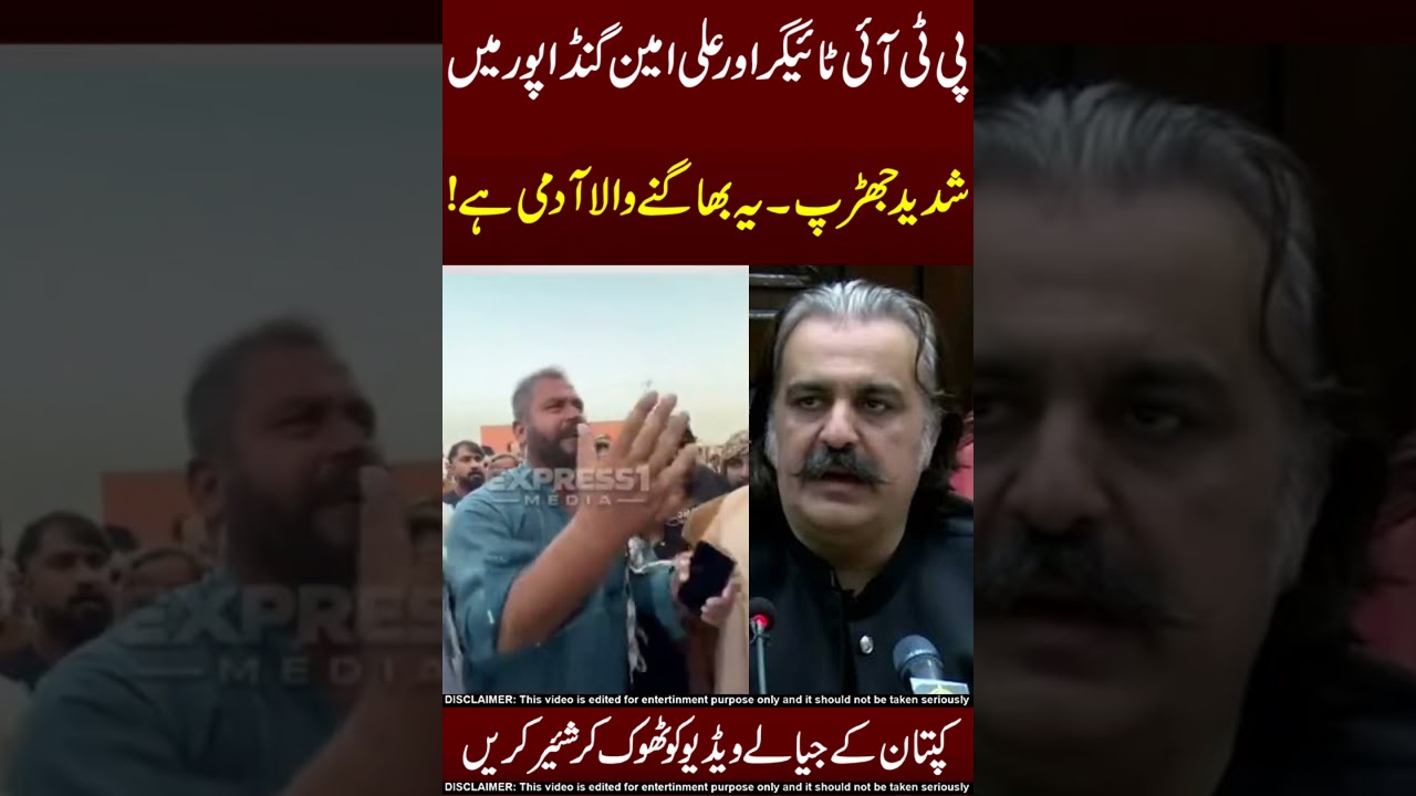 Ali Amin GandaPur Vs Pti Tigers 😎☠️PTI Long March Do SharE!!